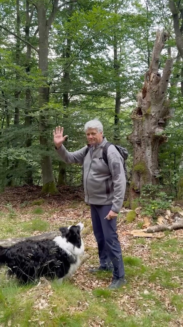 Post 9 by @newnordic_canada on Instagram (video)