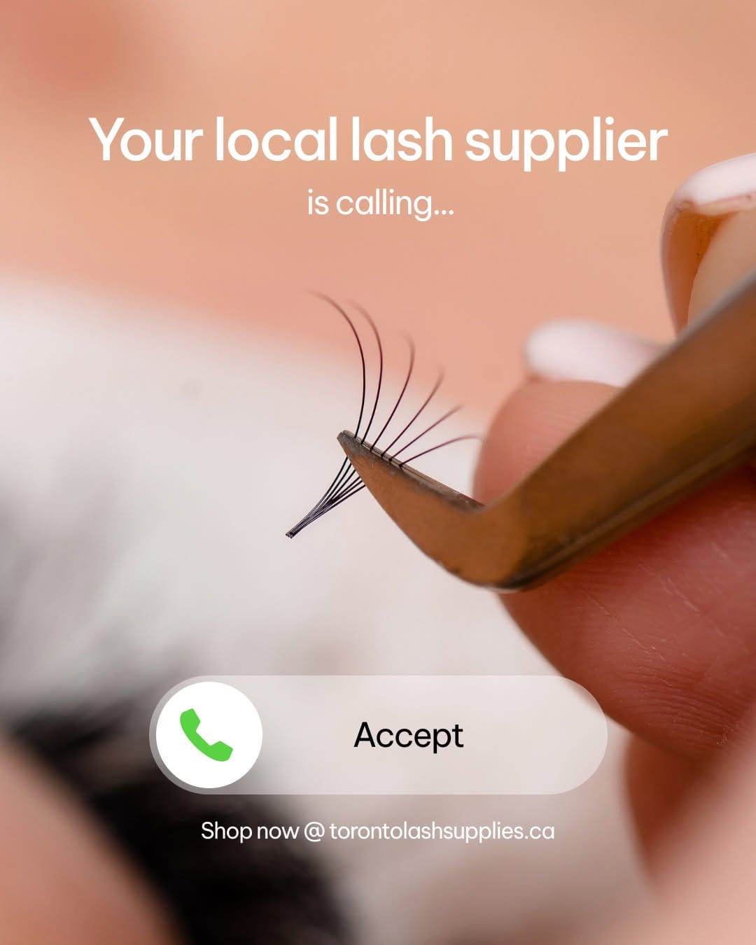 Post 3 by Toronto Lash Supplies on Instagram (image)