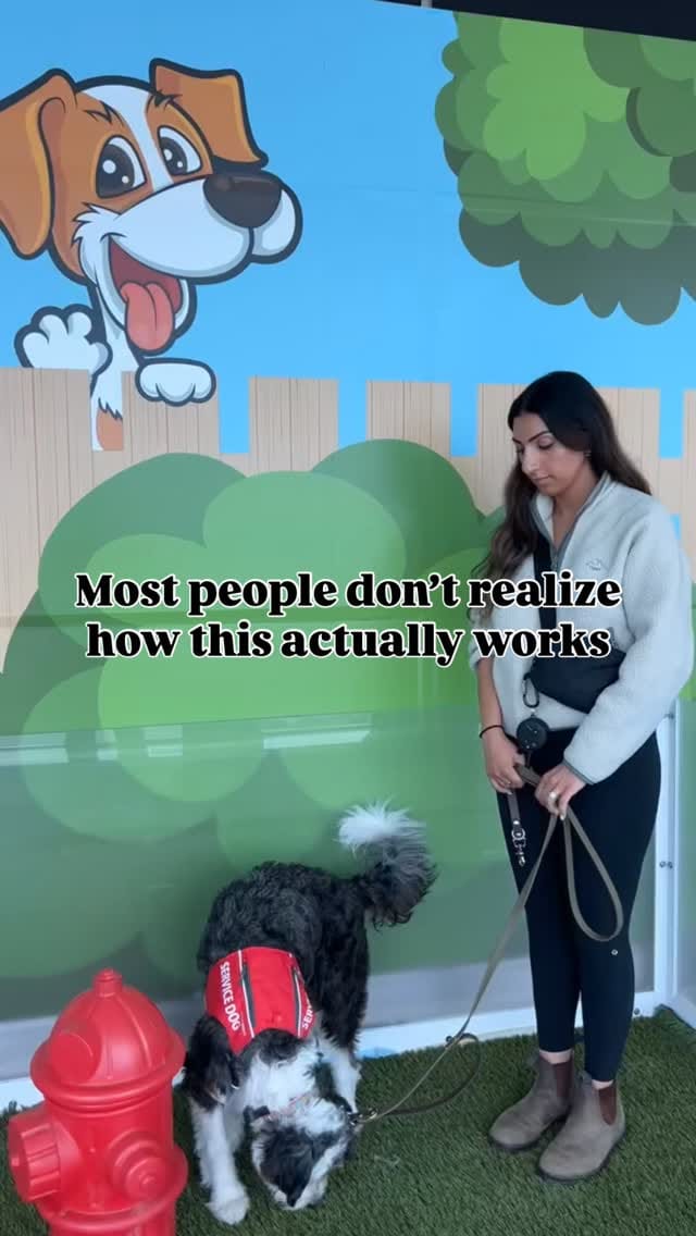 Post 2 by Tina Rahimi | Adventure Travel & Unique Stays on Instagram (video)