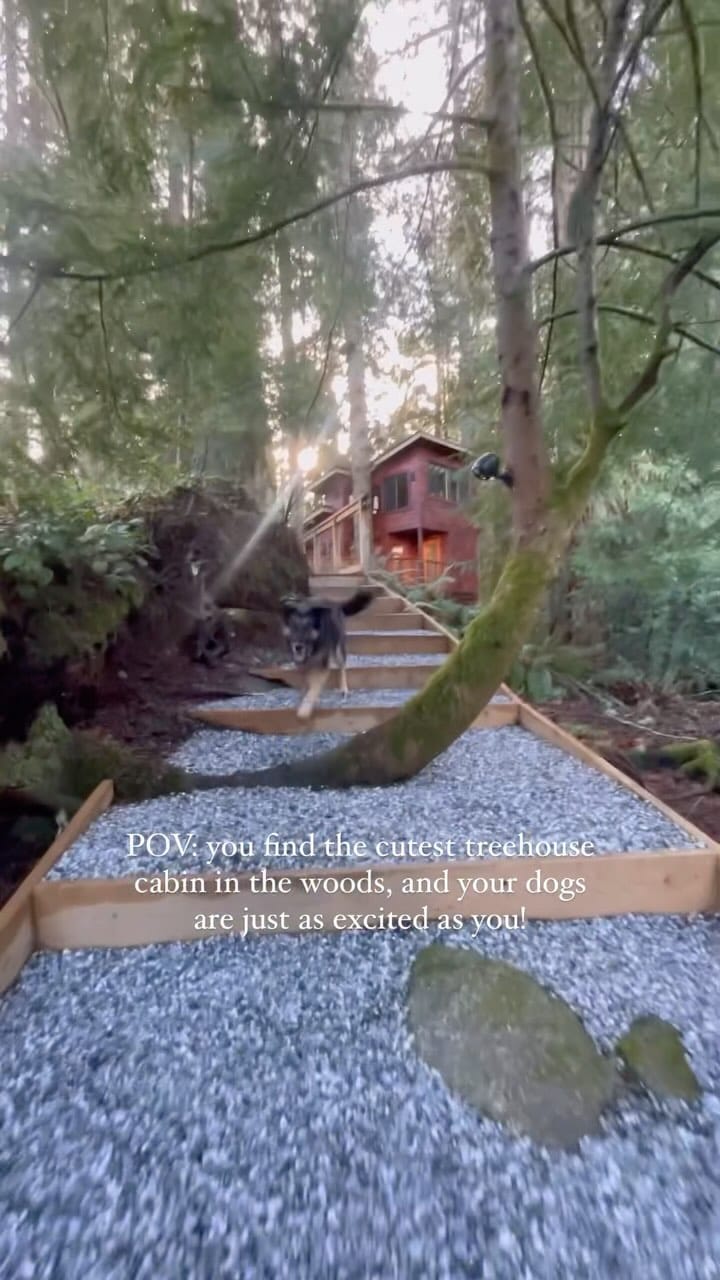 Post 10 by Chantael | with my dogs; Joleena & Larry on Instagram (video)