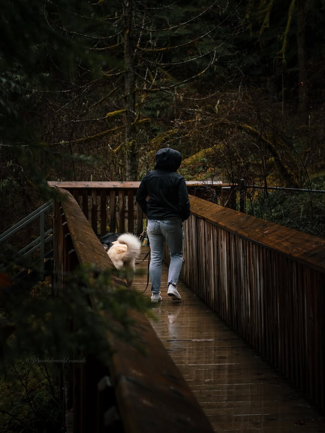 Post 6 by Chantael | with my dogs; Joleena & Larry on Instagram (image)