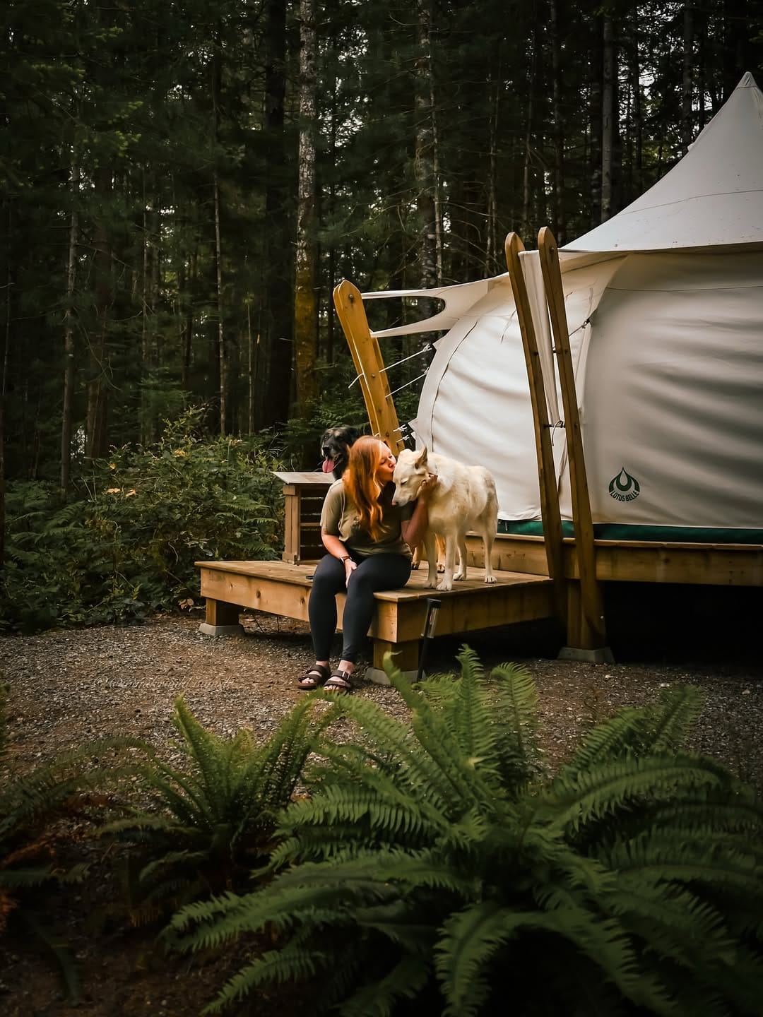 Post 2 by Chantael | with my dogs; Joleena & Larry on Instagram (image)