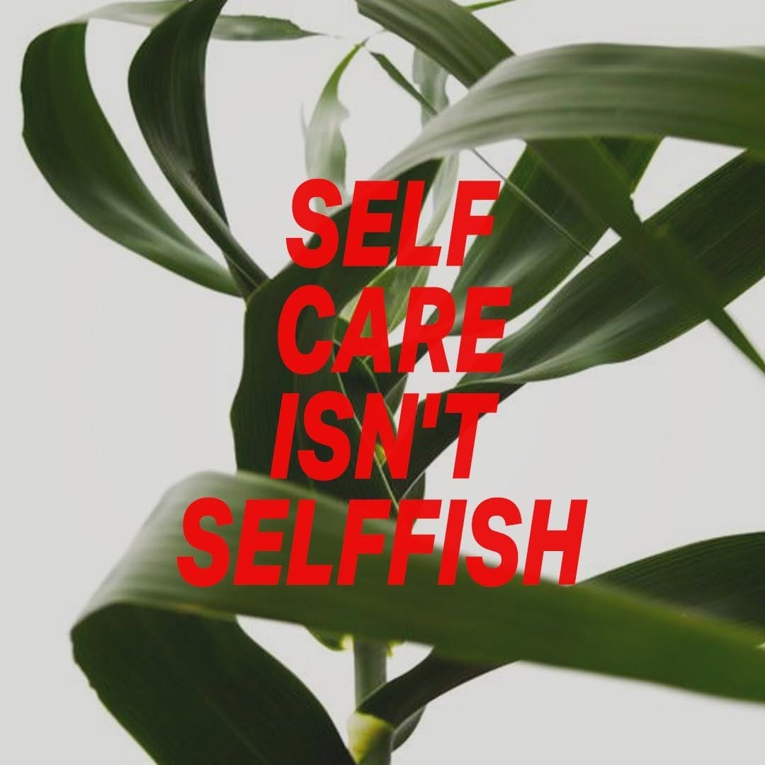 Post 5 by Calyx Wellness on Instagram (image)