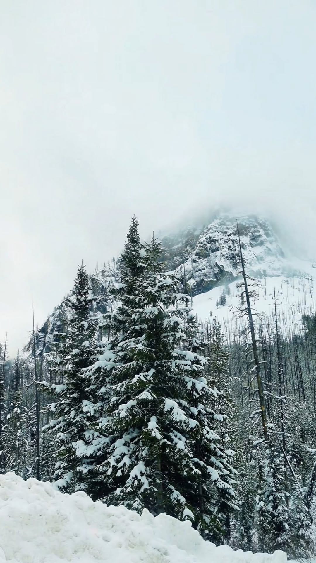 Post 5 by Jella • Calgary Content Creator 🇨🇦 on Instagram (video)
