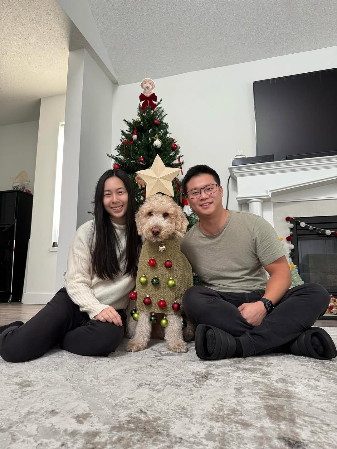 Post 3 by Jennifer & Koopa | Big “Mini” Goldendoodle on Instagram (carousel)