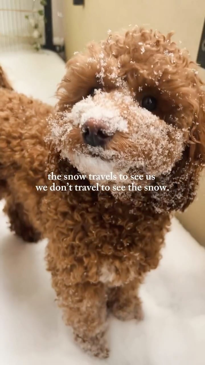 Post 2 by Chandni 🧿 Abhi| Creators on Instagram (video)