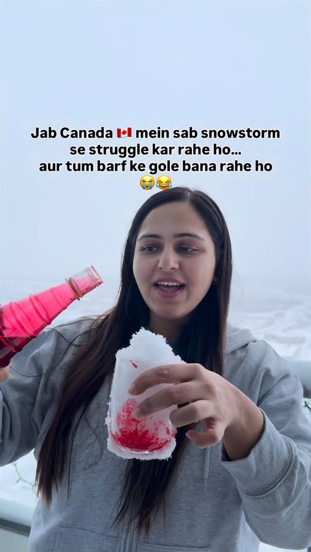 Post 3 by Vibhuti | 🇮🇳✈️ 🇨🇦 Toronto Vlogger on Instagram (video)