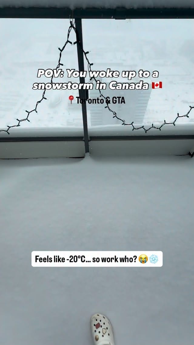 Post 4 by Vibhuti | 🇮🇳✈️ 🇨🇦 Toronto Vlogger on Instagram (video)