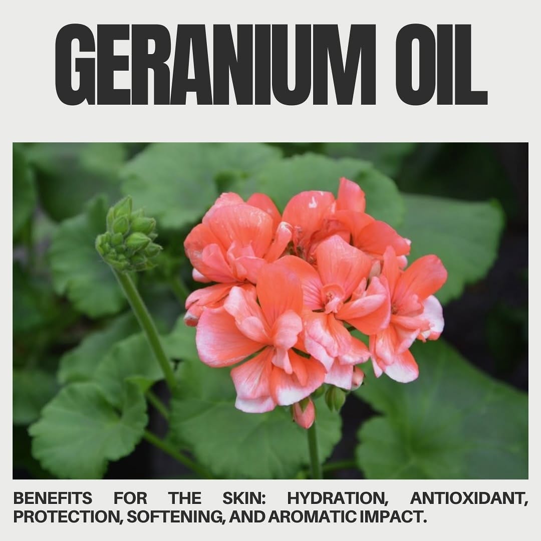 Post 6 by Organic skincare | STUDIO RKD on Instagram (image)