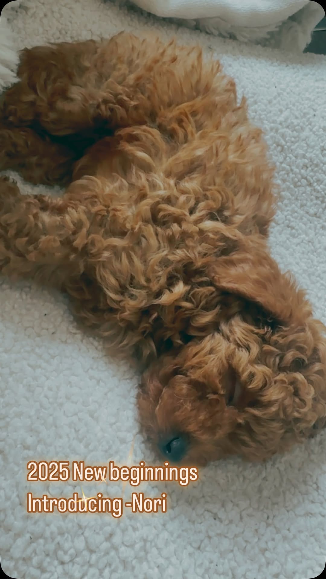 Post 2 by J o h n n y on Instagram (video)