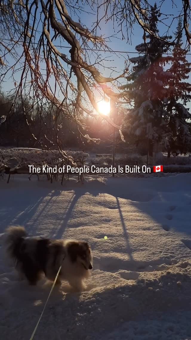 Post 3 by Canada Dreamers 🇨🇦 on Instagram (video)