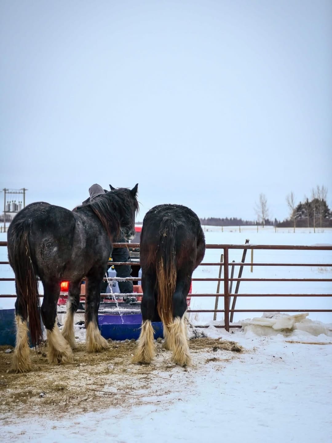Post 3 by Rhea B. Photography on Instagram (carousel)