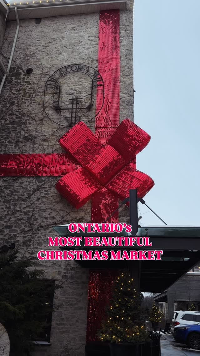 Post 4 by Nisha K | KWC - Toronto Content Creator on Instagram (video)