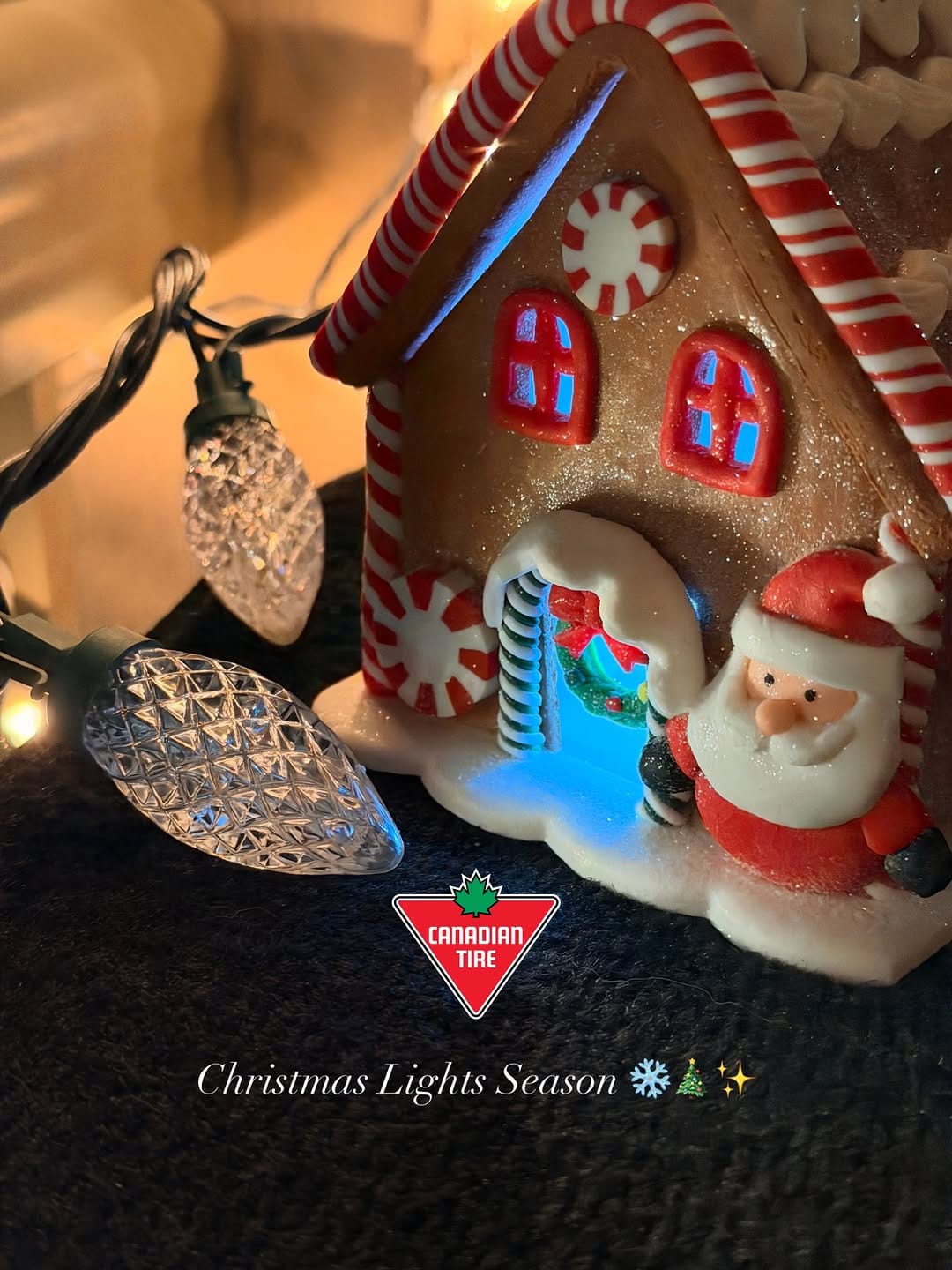Post 6 by Nisha K | KWC - Toronto Content Creator on Instagram (carousel)