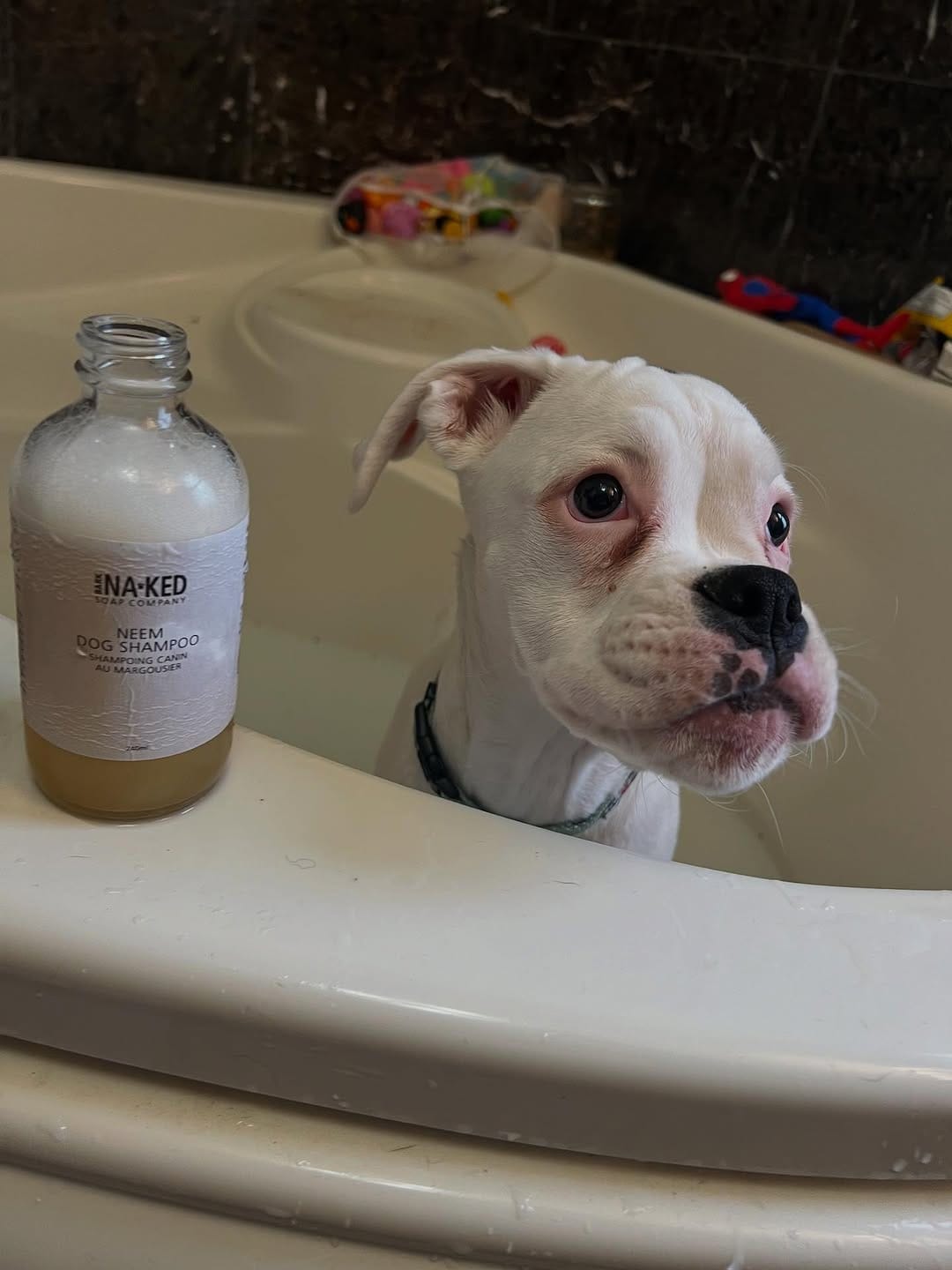 Post 6 by BUCK NAKED SOAP COMPANY on Instagram (carousel)