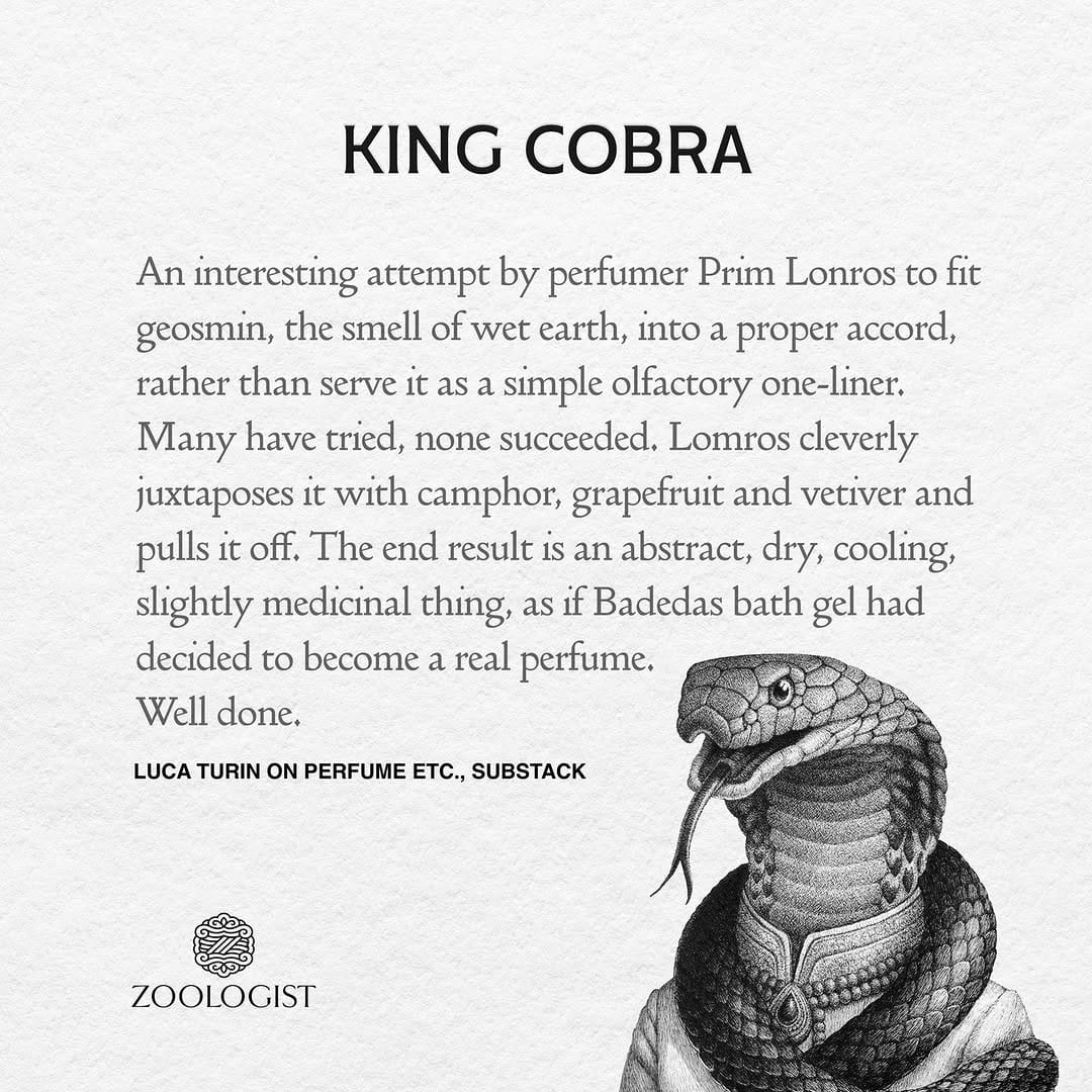 Post 6 by Zoologist Perfumes on Instagram (image)