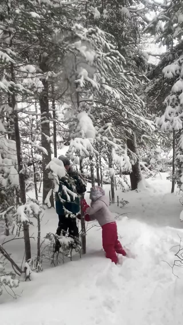 Post 2 by Rocky Mountain Soap Company on Instagram (video)