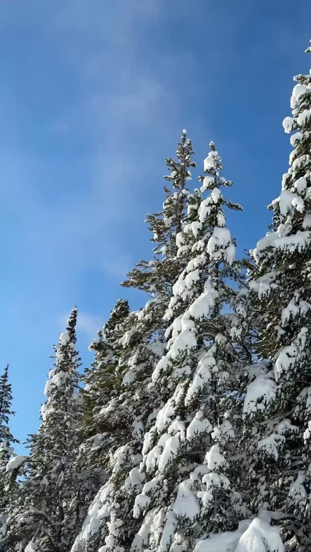 Post 6 by Rocky Mountain Soap Company on Instagram (video)