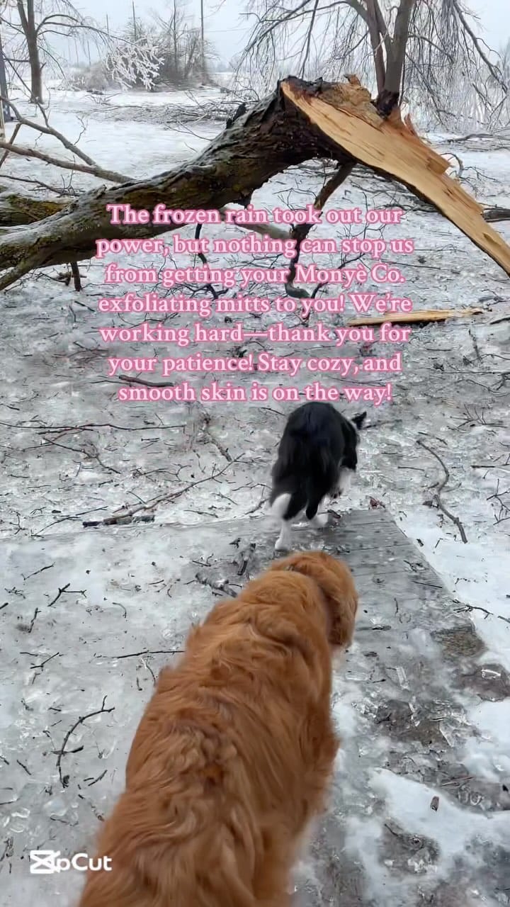 Post 4 by Monyè Co. on Instagram (video)