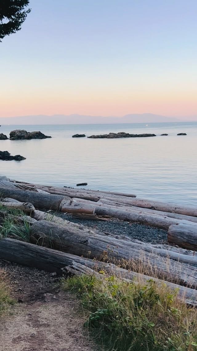 Post 8 by Tanya Cressman on Instagram (video)