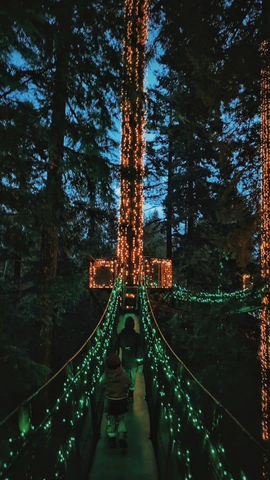 Post 2 by Tara 🍁 British Columbia Mom on Instagram (video)
