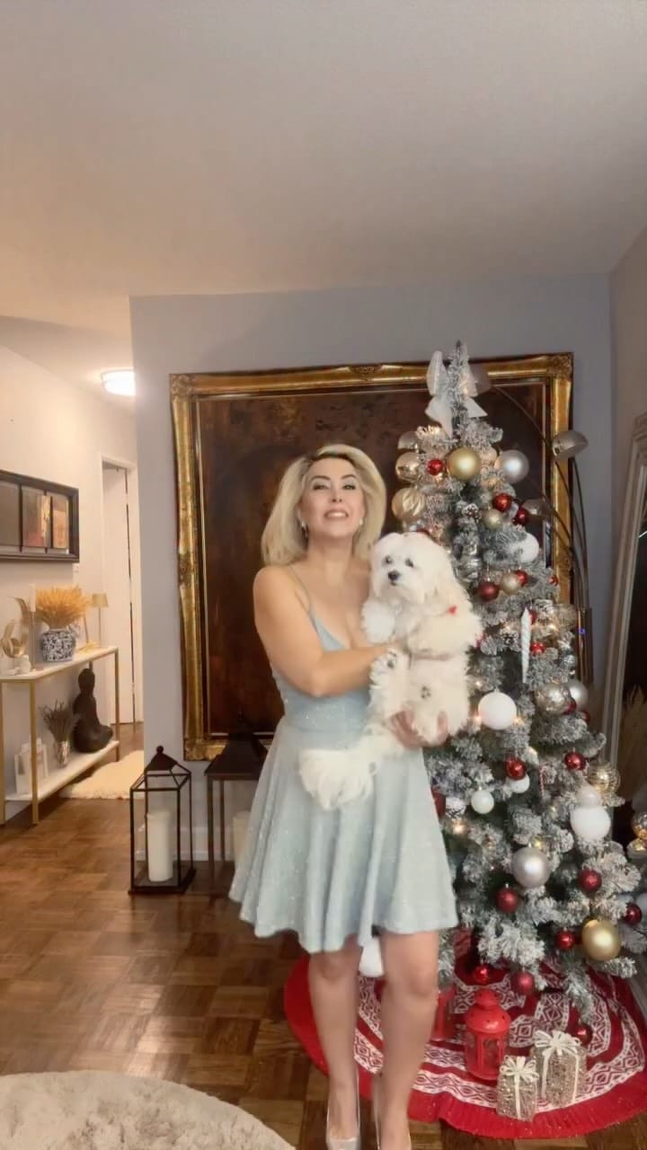 Post 2 by Parinaz Haghnejad on Instagram (video)