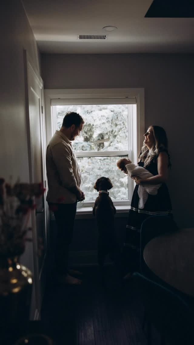 Post 6 by Photographer Toronto | Family, Couples, Solo on Instagram (video)