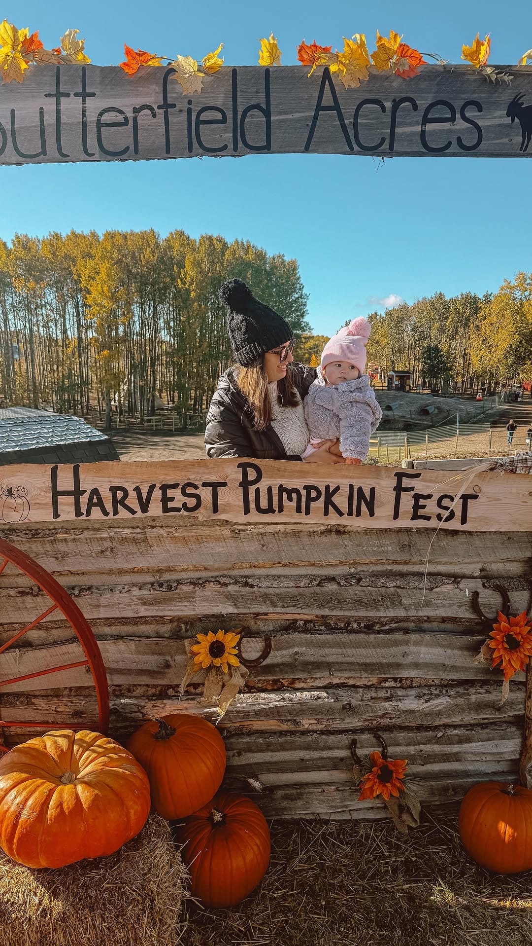 Post 3 by Alexis Hoffman on Instagram (video)