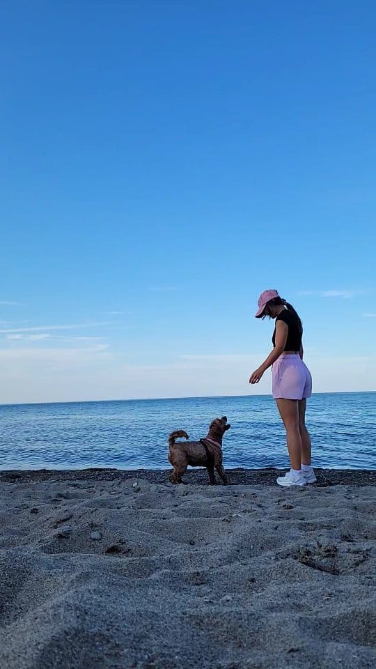 Post 10 by NICOLE VAIDOSA on Instagram (video)