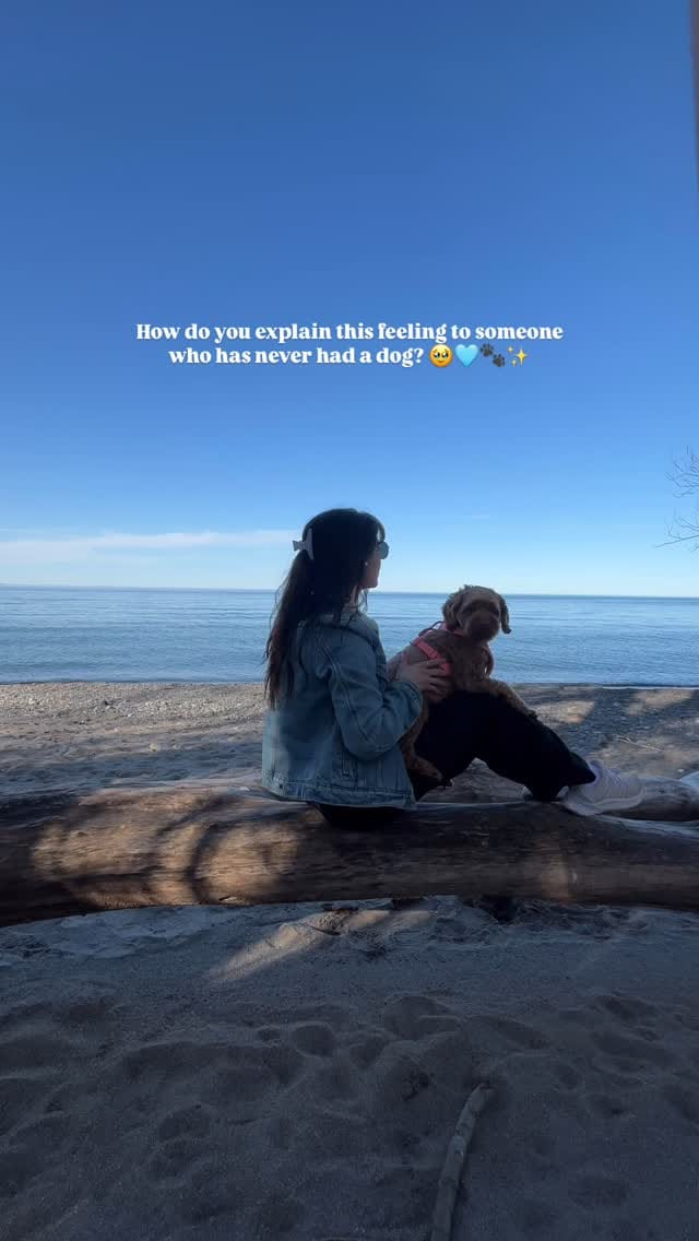 Post 8 by NICOLE VAIDOSA on Instagram (video)