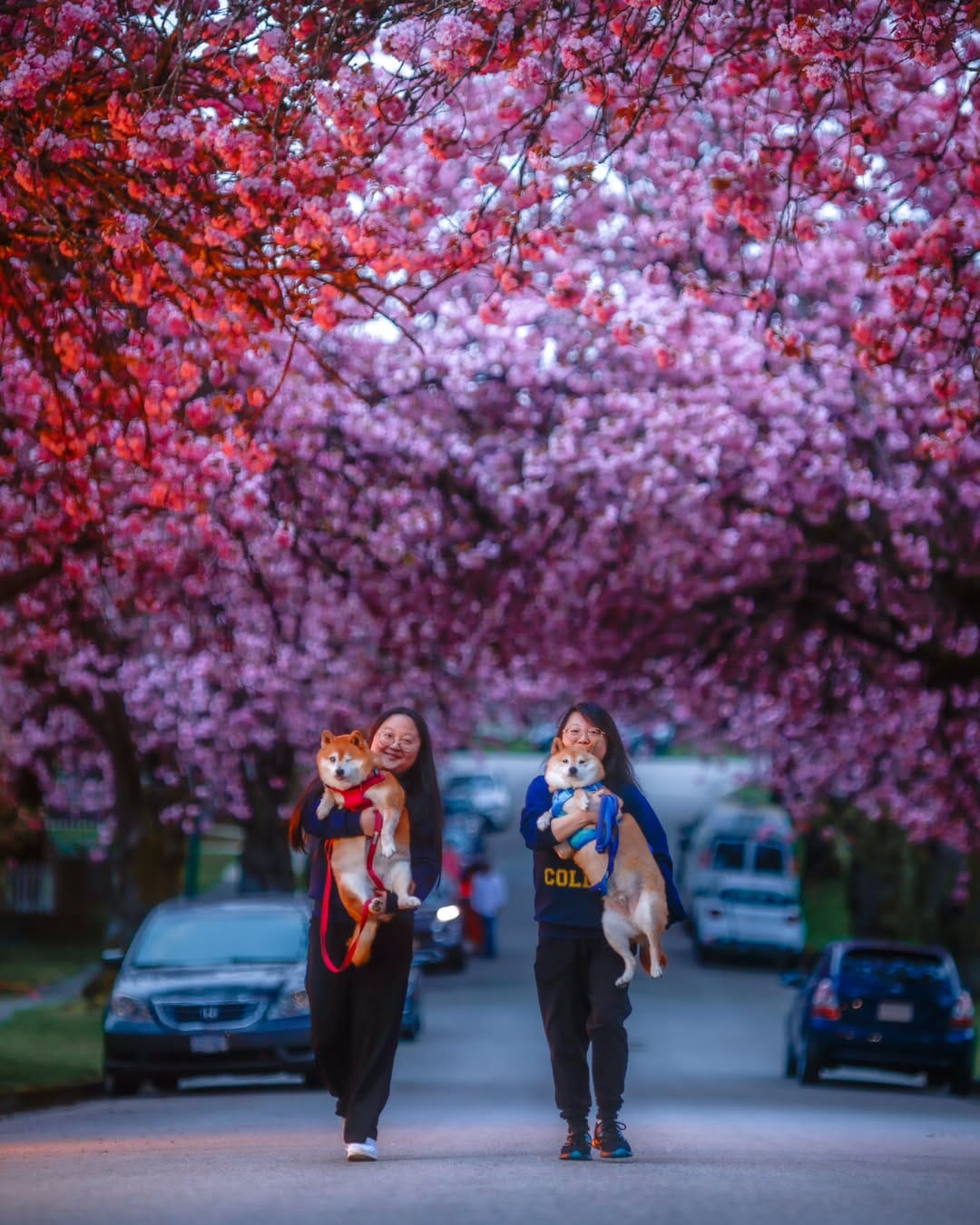 Post 7 by 📸 Professional Photographer and Instructor👨‍🏫 on Instagram (image)