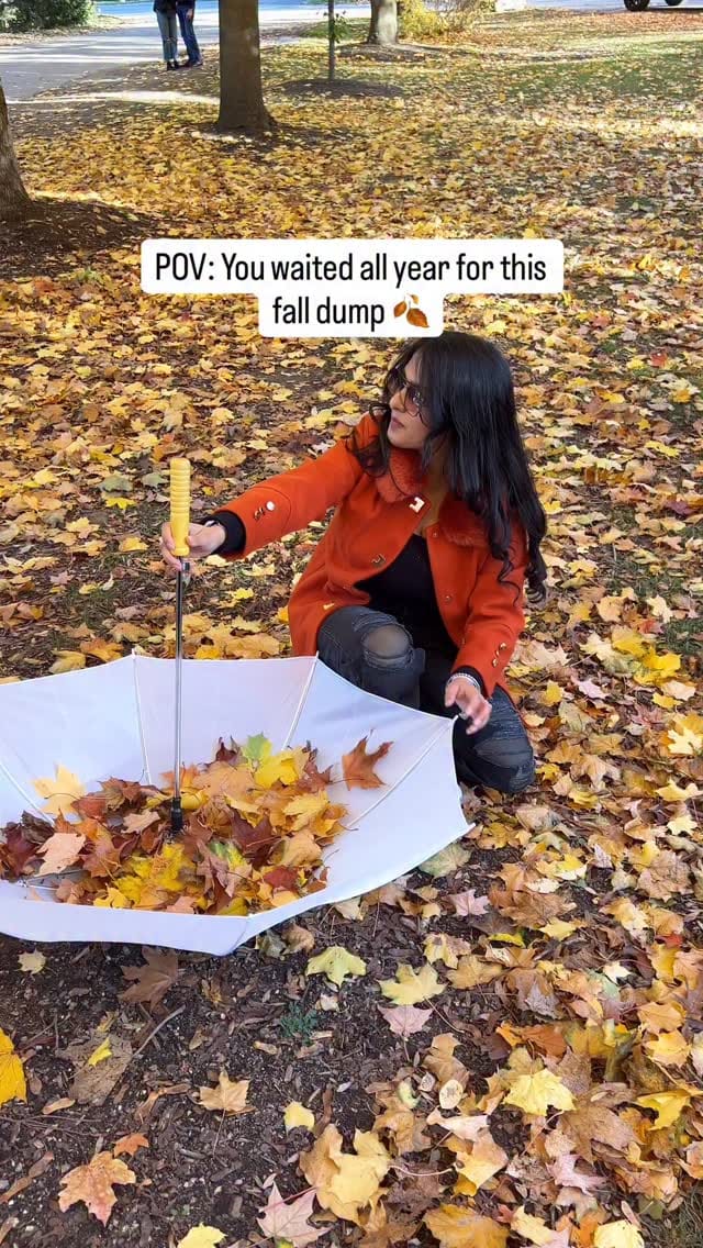 Post 8 by Navpreet Kaur | Travel & Lifestyle on Instagram (video)
