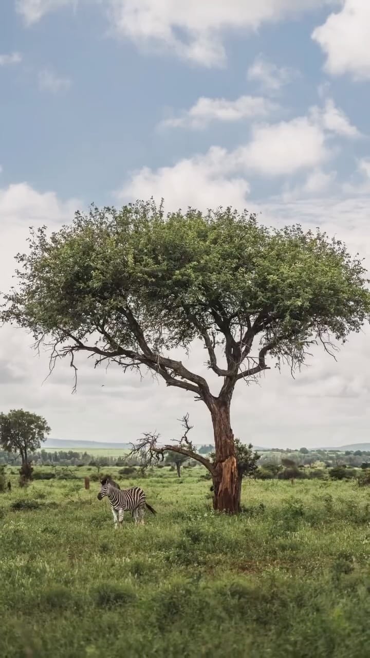 Post 7 by Brad Flowerdew on Instagram (video)