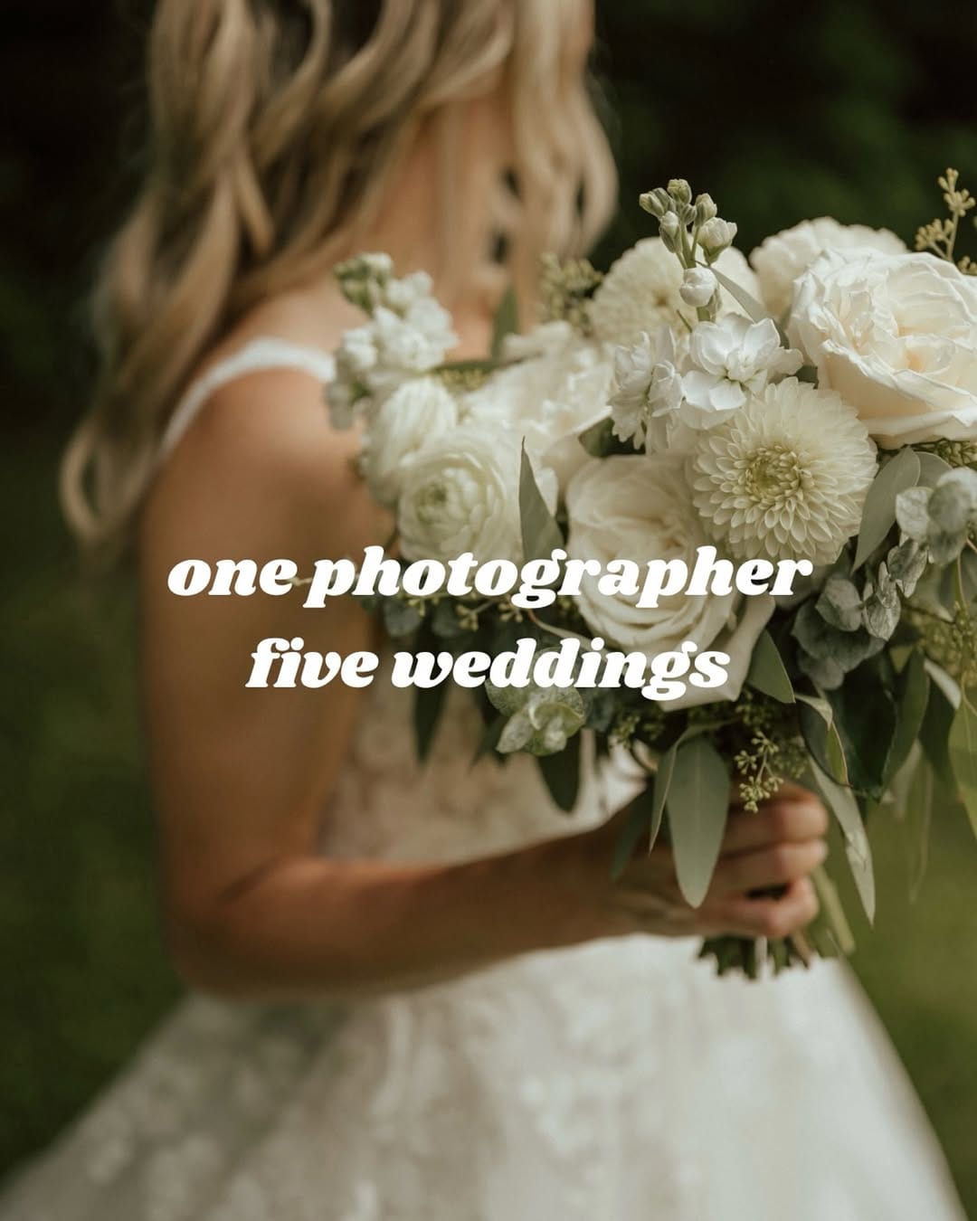 Post 2 by Holly Bodkin | Ontario Photographer on Instagram (carousel)