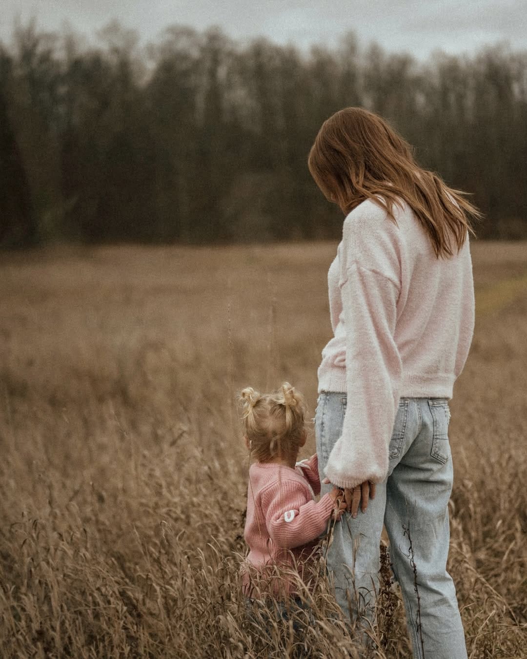 Post 3 by Holly Bodkin | Ontario Photographer on Instagram (carousel)