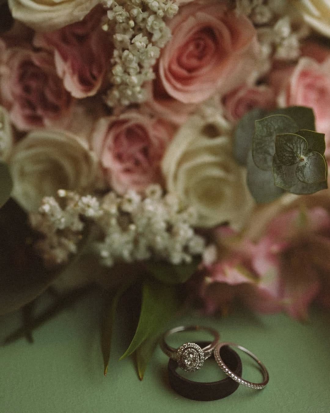 Post 4 by Holly Bodkin | Ontario Photographer on Instagram (carousel)