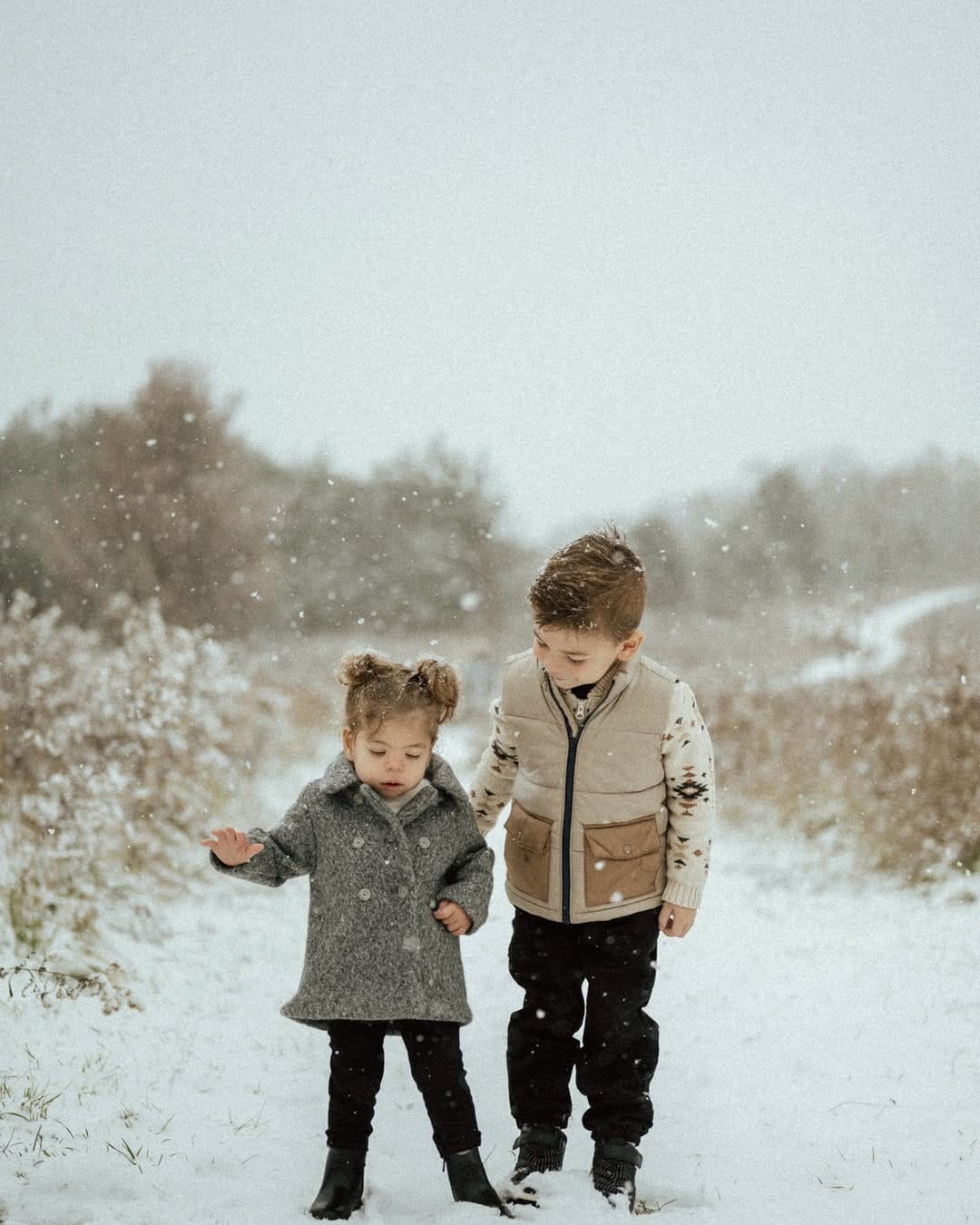 Post 7 by Holly Bodkin | Ontario Photographer on Instagram (carousel)