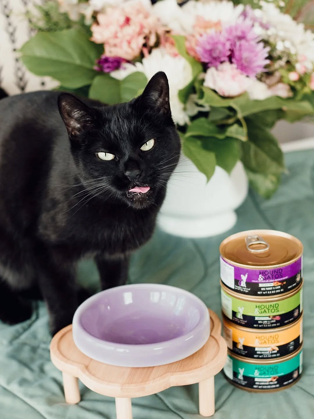 Post 1 by 🐱 Amber & Willow 🐈‍⬛ Pet Influencers on Instagram (carousel)
