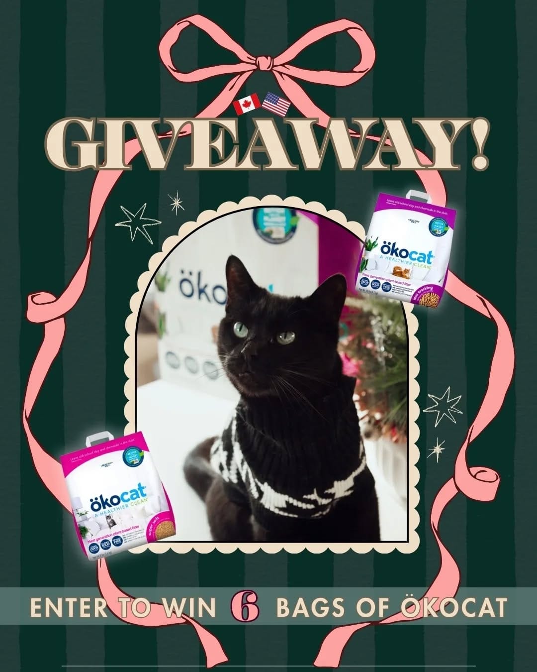 Post 3 by 🐱 Amber & Willow 🐈‍⬛ Pet Influencers on Instagram (carousel)