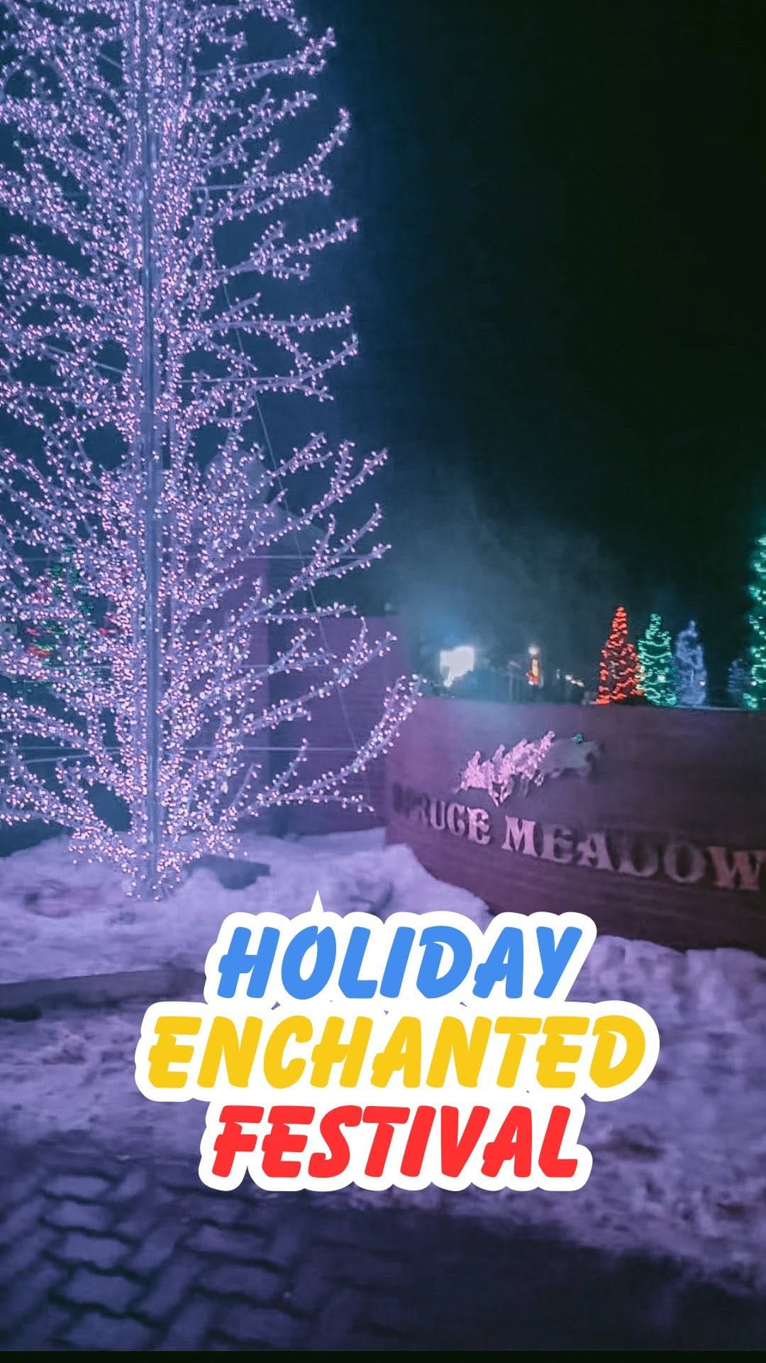 Post 7 by Alisha M Brown ▪️Calgary Lifestyle & Local Favs on Instagram (video)