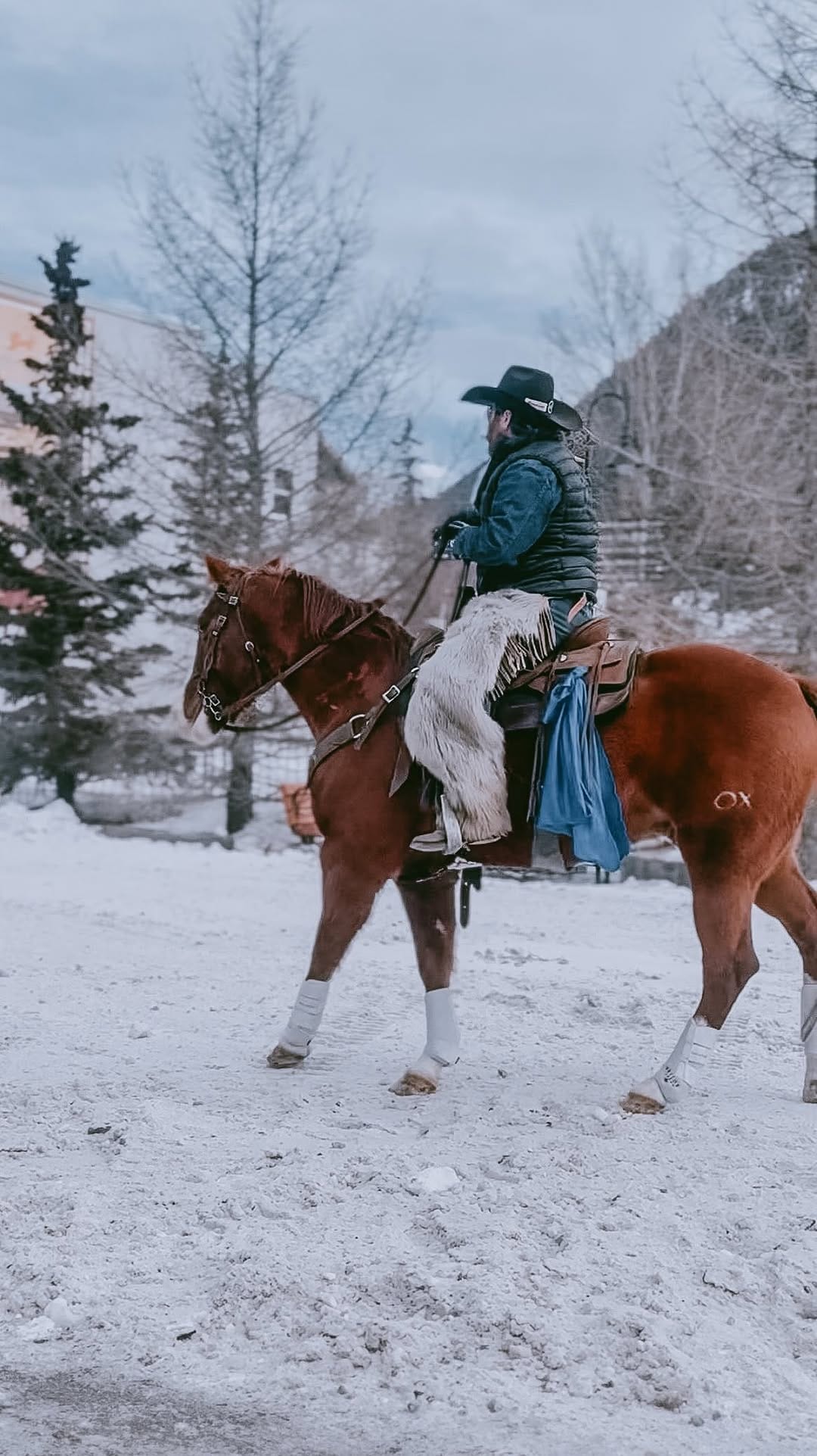 Post 1 by Alisha M Brown ▪️Calgary Lifestyle & Local Favs on Instagram (video)