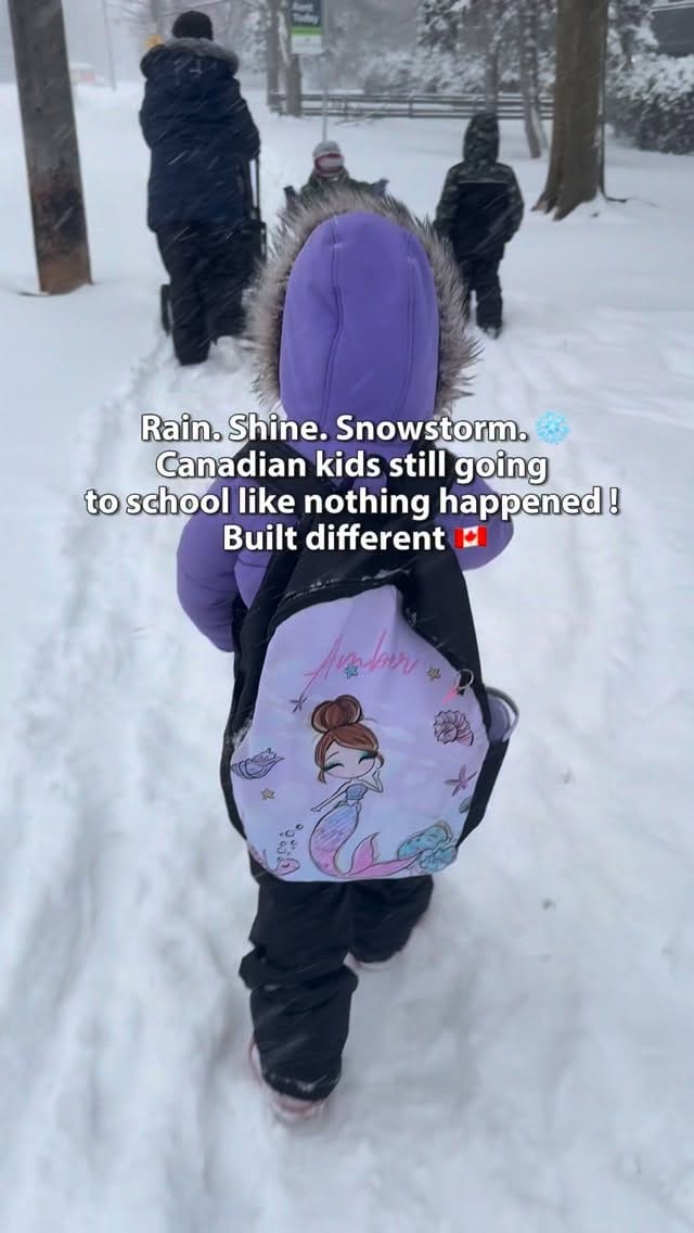 Post 3 by Sonya Mehmi | Toronto Creator on Instagram (video)