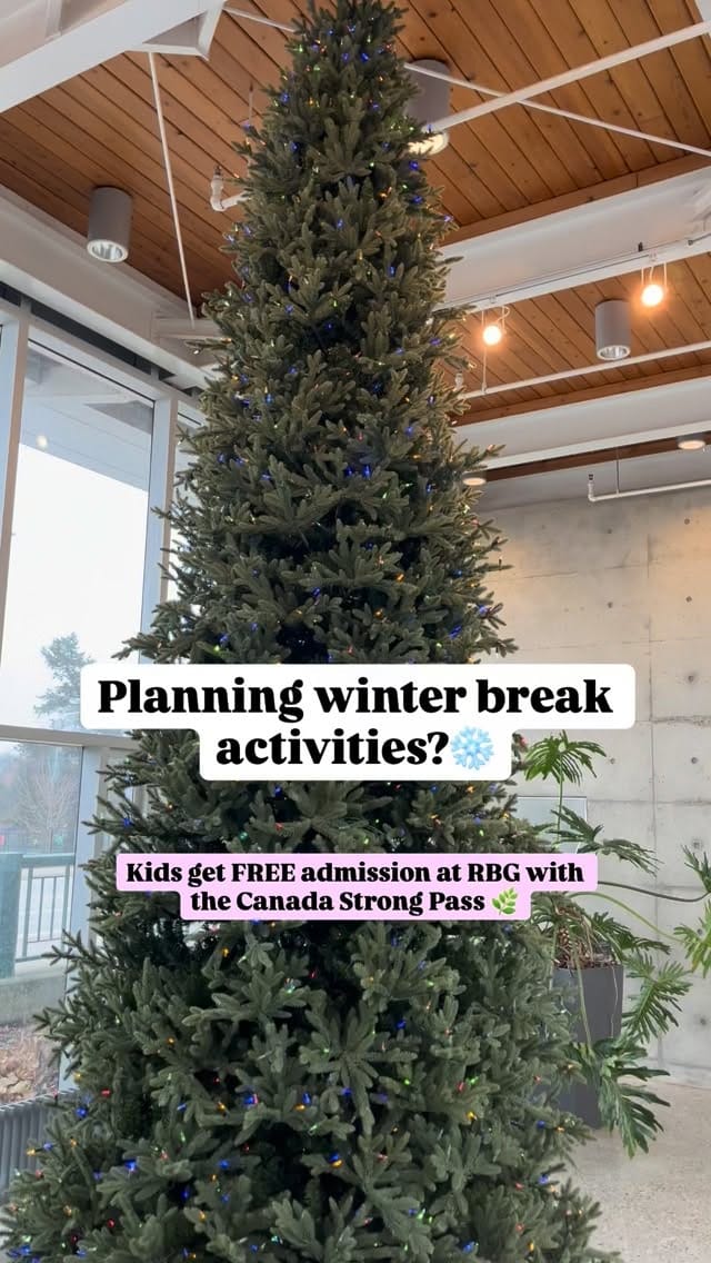 Post 7 by Lexie 🙋‍♀️ | Ontario Twin Mom | Travel, Lifestyle, Creator on Instagram (video)