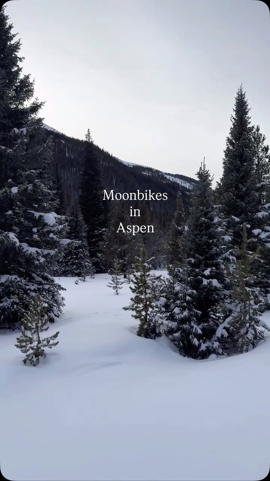 Post 4 by Courtney Helena on Instagram (video)