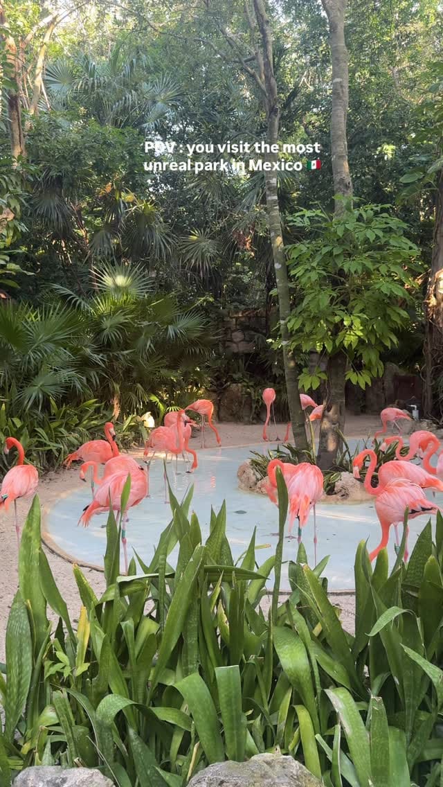 Post 4 by Amiya Baiju | Toronto Travel & Lifestyle Blogger on Instagram (video)
