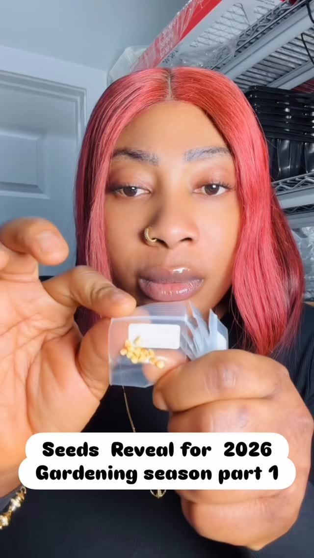 Post 4 by Nneoma Ngene-Perry on Instagram (video)
