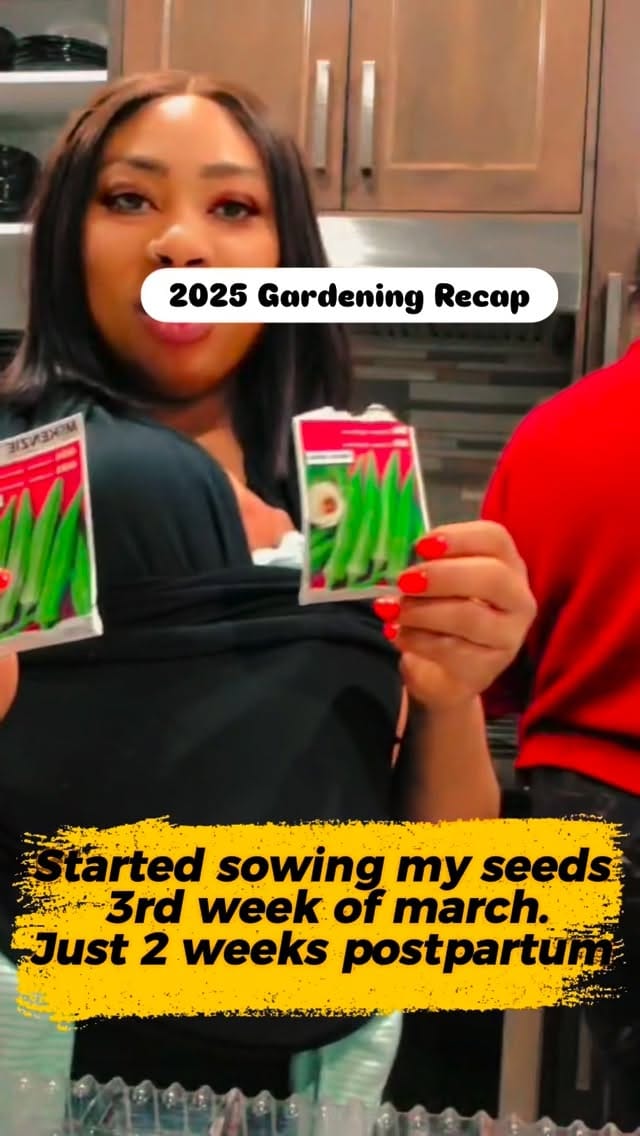 Post 7 by Nneoma Ngene-Perry on Instagram (video)