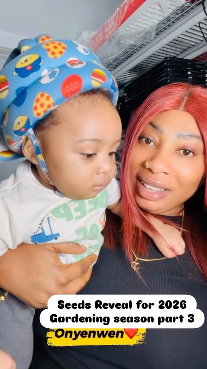 Post 2 by Nneoma Ngene-Perry on Instagram (video)