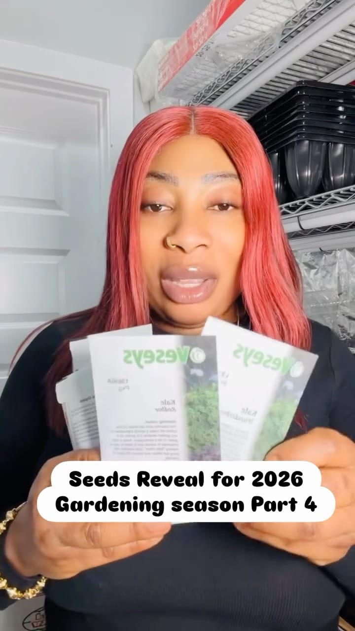 Post 1 by Nneoma Ngene-Perry on Instagram (video)