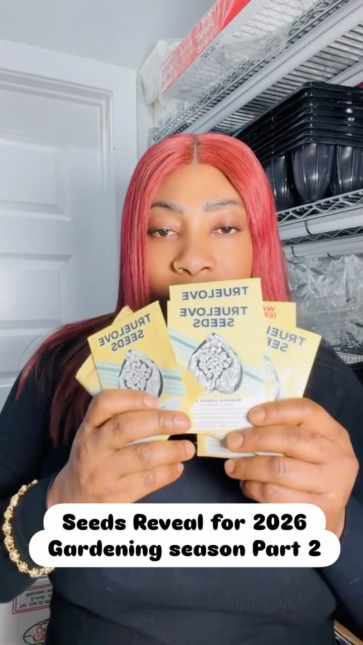 Post 3 by Nneoma Ngene-Perry on Instagram (video)